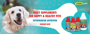 Pet Care Supplements and Vitamins Online Shopping