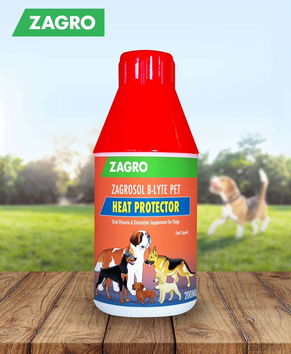 Dog Heat Protection Product Oral Vitamin & Electrolyte Supplement