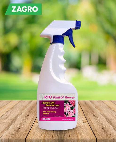 Ready To Use (RTU) JUMBO Flower - Zagro Health