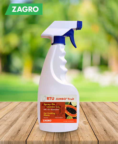 Ready To Use (RTU) JUMBO Fruit - Zagro Health