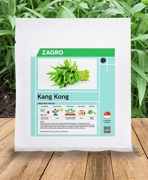 kang kong seeds