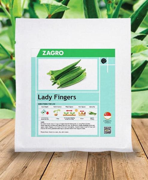 lady fingers seeds